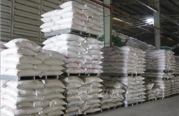 Giá gạo xuất khẩu đảo chiều tăng