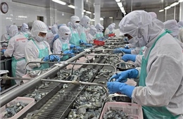 Xuất khẩu khởi sắc tiếp sức cho tăng trưởng kinh tế