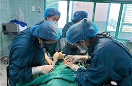 Phẫu thuật miễn phí cho trẻ khuyết tật có hoàn cảnh khó khăn tại Quảng Trị 