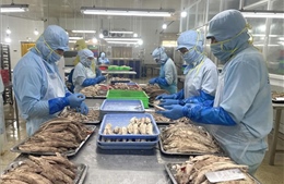 Thủy sản Việt thay đổi tư duy để chinh phục thị trường nội địa