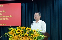 Góp ý dự thảo Báo cáo chính trị Đại hội Đảng bộ Thành phố Hồ Chí Minh