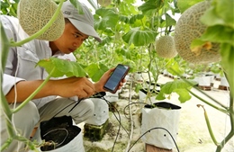 Chuyển đổi số, chuyển đổi xanh để nâng cao năng lực cạnh tranh của kinh tế tư nhân