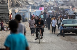 Ai Cập cam kết chung tay chấm dứt chiến sự ở Dải Gaza