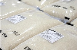Thị trường nông sản: Giá gạo Nhật Bản tăng hơn 90% trong tháng 7/2025