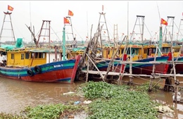 Ninh Bình không cho tàu, thuyền ra khơi từ sáng 24/8