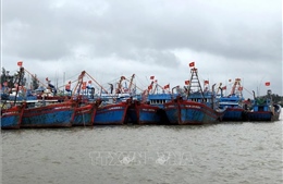 Quảng Ngãi kiểm soát tàu thuyền, sơ tán vùng nguy cơ cao