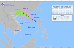 Áp thấp nhiệt đới đã mạnh lên thành bão số 7 trong năm 2025