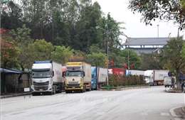 Cửa khẩu Hữu Nghị khuyến nghị doanh nghiệp sang tải hàng hóa buổi sáng để giảm ùn tắc cuối ngày