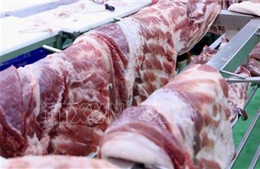 Phạt một cơ sở ở Gia Lai kinh doanh thịt lợn không rõ nguồn gốc
