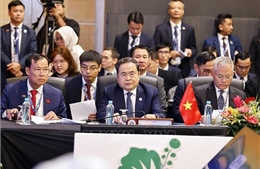 Chủ tịch Quốc hội Trần Thanh Mẫn dự Phiên họp Ban điều hành AIPA