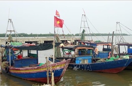 Ninh Bình cấm biển từ 12 giờ trưa 24/9