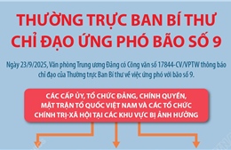 Thường trực Ban Bí thư chỉ đạo ứng phó bão số 9