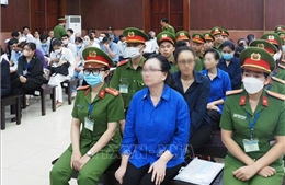 Kiện toàn thành viên Ban Chỉ đạo thu hồi tài sản trong vụ án Vạn Thịnh Phát 