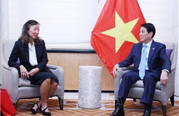 Chương trình Việt Nam học: Lan tỏa văn hóa ra thế giới