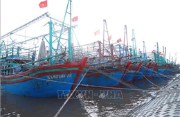 Nghệ An: Cấm các loại tàu thuyền ra khơi từ 5 giờ ngày 27/9