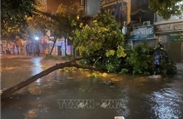 Hà Nội tập trung ứng phó bão số 10 và mưa lũ, sạt lở đất, lũ quét
