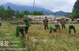 Công an Thanh Hóa chủ động, khẩn trương giúp dân ứng phó bão số 10