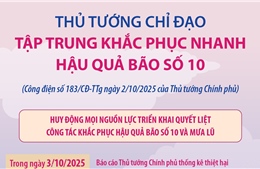 Thủ tướng Chính phủ chỉ đạo tập trung khắc phục nhanh hậu quả bão số 10 và mưa lũ