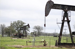 Giá dầu nối dài đà tăng sau quyết định sản lượng của OPEC+