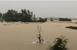 Lũ lớn trên sông Cầu, sông Thương, các địa phương khẩn cấp ứng phó