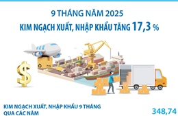 Kim ngạch xuất, nhập khẩu tăng 17,3%