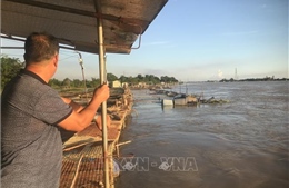 Hải Phòng kích hoạt phương án &#39;4 tại chỗ&#39; ứng phó lũ các trên sông
