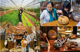 Trải nghiệm Halloween giữa rừng thu Lat Valley Retreat Village