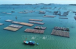 Đắk Lắk cơ cấu lại lĩnh vực nuôi trồng thủy sản