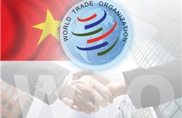 Việt Nam tham gia cơ chế giải quyết tranh chấp của WTO