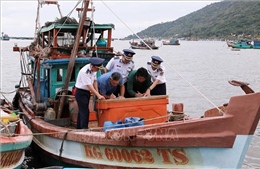 Thủ tướng yêu cầu tập trung thực hiện tháng cao điểm chống khai thác hải sản bất hợp pháp