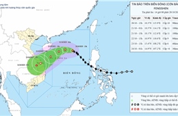 Bão số 12 tăng cấp, cách Hoàng Sa khoảng 460km
