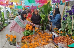 Lễ hội &#39;Ngày Người chết&#39; tại thủ đô Mexico City
