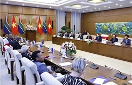 Đưa hợp tác nghị viện trở thành một trụ cột của quan hệ song phương Việt Nam - Nam Phi