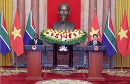 Tuyên bố chung Việt Nam-Nam Phi