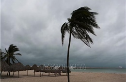 Jamaica đóng cửa hai sân bay và mở hầm trú ẩn tránh bão Melissa