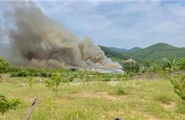 Quảng Ninh: Kịp thời khống chế vụ cháy lớn tại trang trại lợn, giảm thiểu thiệt hại