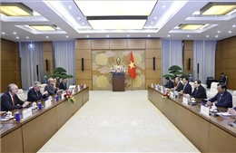 Chủ tịch Quốc hội Trần Thanh Mẫn tiếp đoàn đại biểu Đảng Dân chủ Xã hội Đức (SPD)