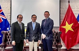 Việt Nam và Australia đẩy mạnh hợp tác phát triển lúa gạo