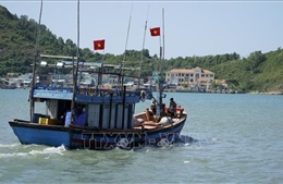 Gia Lai tập trung quản lý đội tàu, ngăn vi phạm khai thác hải sản