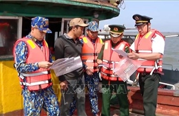 Ninh Bình hoàn tất đăng ký 100% tàu cá, siết chặt quản lý chống khai thác IUU