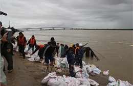 Đà Nẵng chỉ đạo tập trung khắc phục thiệt hại do mưa lũ lớn