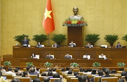 Thông cáo báo chí số 10, Kỳ họp thứ 10, Quốc hội khóa XV