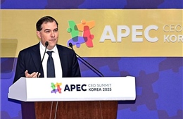 Hội nghị CEO chia sẻ tầm nhìn về kinh tế toàn cầu, AI và năng lượng