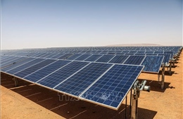 Rystad Energy: Nhu cầu điện toàn cầu có thể tăng 30% trong 10 năm tới