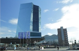 Nhiều ngân hàng lớn dự báo ECB sẽ tiếp tục giữ nguyên lãi suất trong ngắn hạn