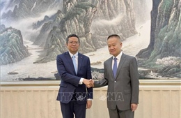 Hợp tác song phương Việt Nam - Trung Quốc đạt nhiều thành tựu đột phá