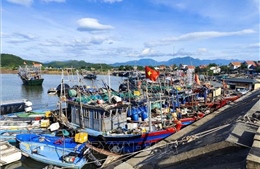 Từ Quảng Ninh đến Thanh Hóa chủ động ứng phó áp thấp nhiệt đới khả năng mạnh lên thành bão