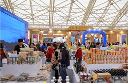 OCOP xứ Thanh: Bản sắc và hội nhập 