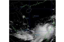 Tiến sĩ Mai Văn Khiêm: Bão số 13 rất mạnh, dự báo gây mưa rất lớn từ Đà Nẵng đến Đắk Lắk   