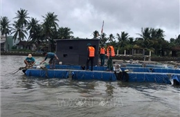 Khắc phục bão số 13: Đà Nẵng tập trung hỗ trợ các gia đình bị thiệt hại nặng